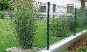 Groene draadafsluiting als lage erfafscheiding in de voortuin tussen buren, met beplanting aan beide zijden