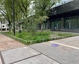 Plantsoenhekwerk geplaatst in Tilburg rondom openbaar groen bij modern kantoorpand